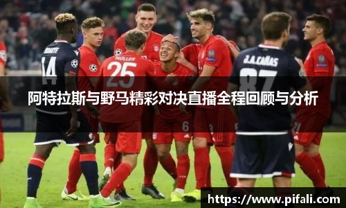 w66国际